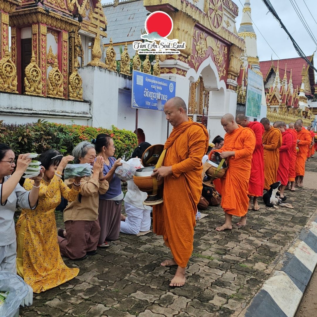 Hành trình của sự tỉnh thức