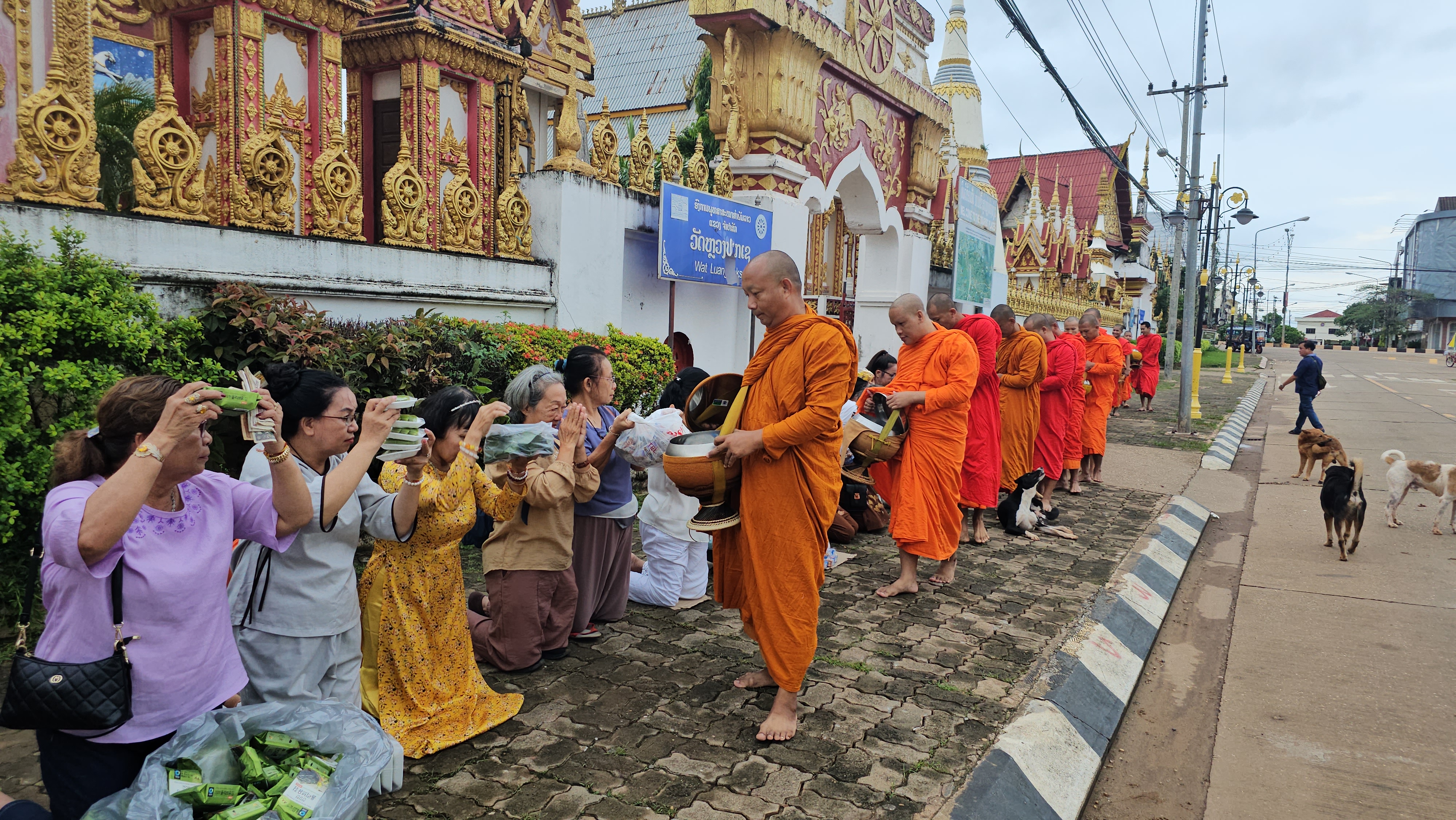 Ngày 6 - Cao nguyên Bolaven